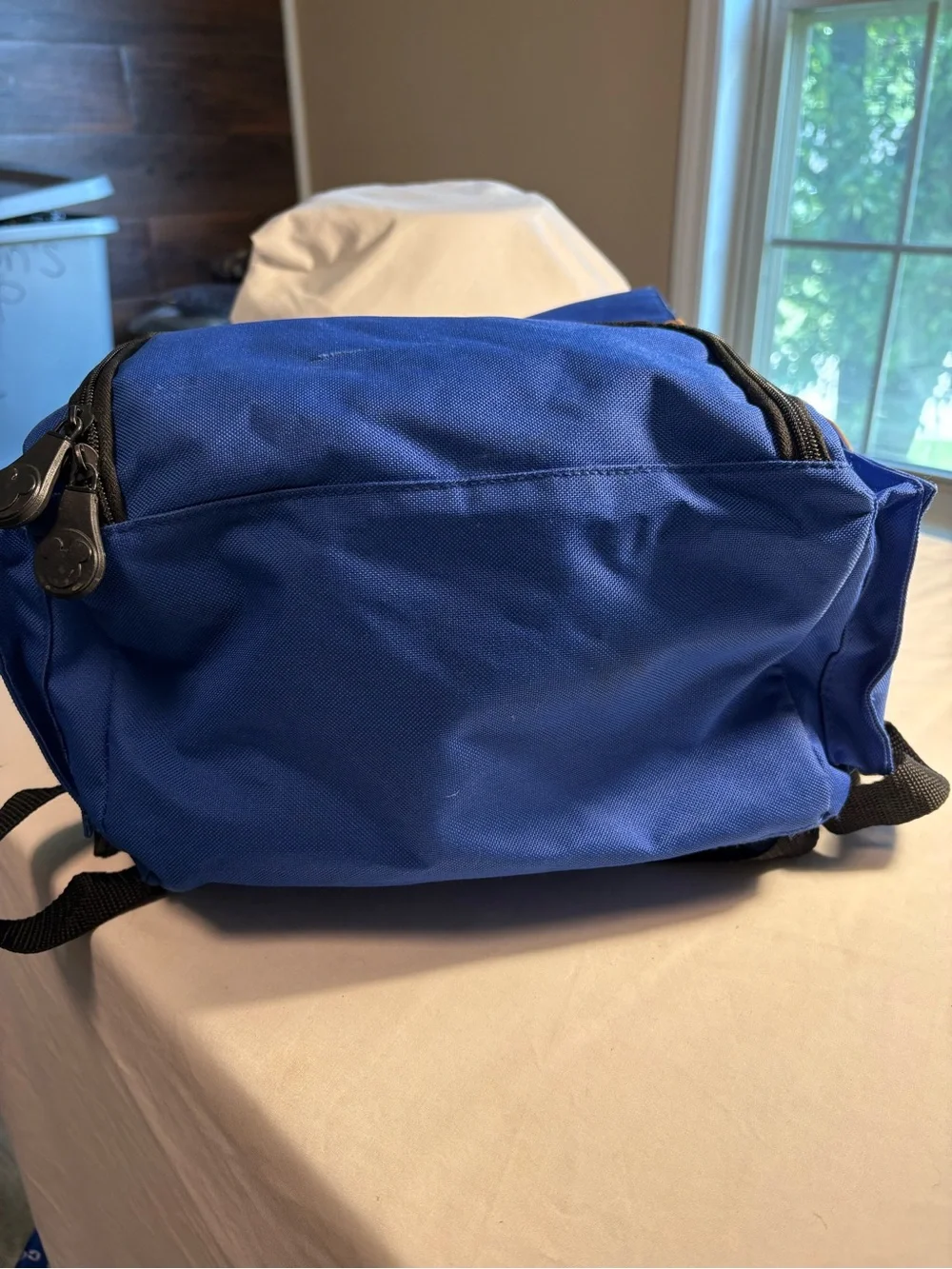 Walt Disney World 1971 Anniversary Blue Backpack Mickey Mouse Edition